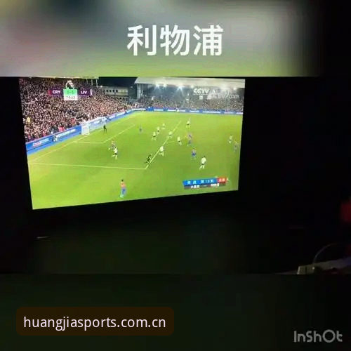 皇家国际安全体验最新版v2.1.0全面解析——新手从零到一的操作指南